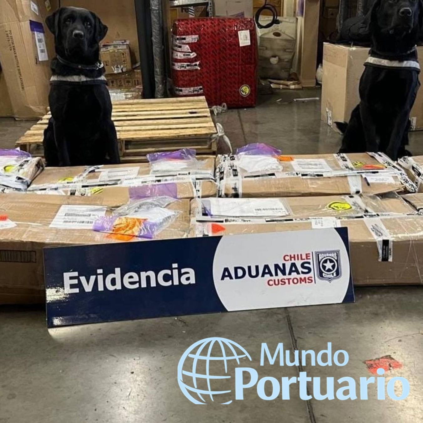 Fiscalización de Aduanas y PDI en el complejo fronterizo de Ollagüe durante control de ingreso