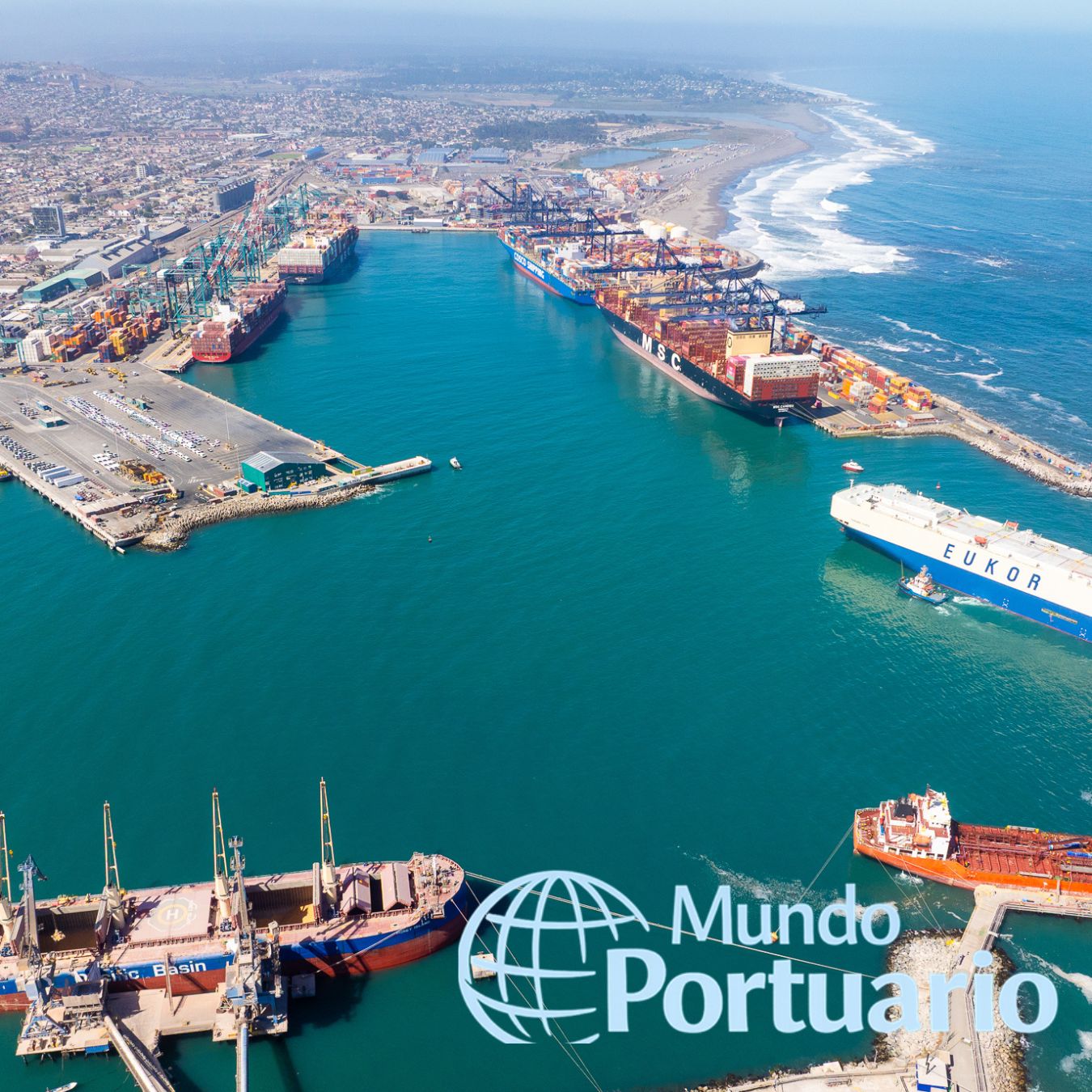 Inspección fitosanitaria del SAG en zona portuaria de San Antonio por posible plaga exótica