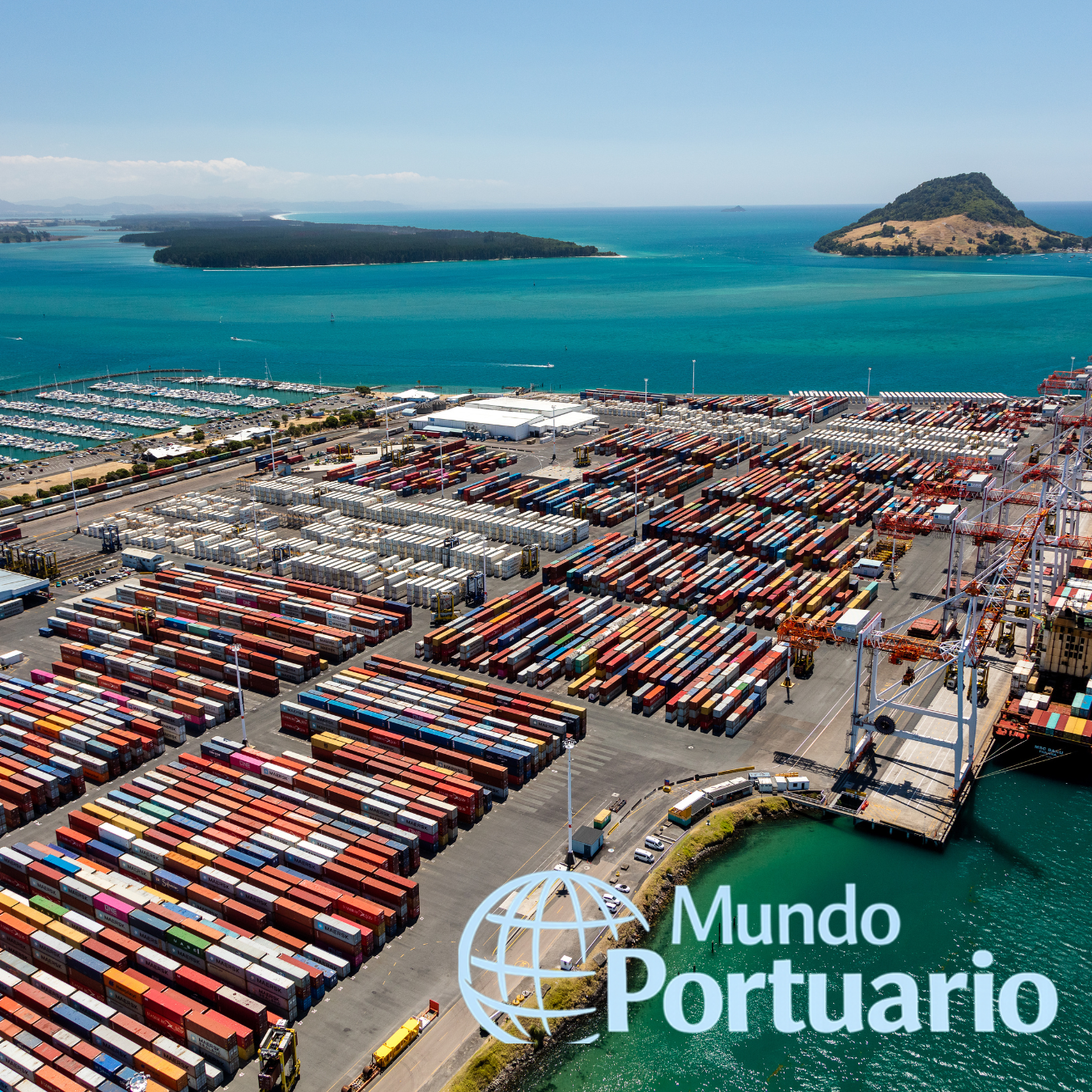 Puerto de Tauranga publica reporte de situación para monitorear congestión operativa