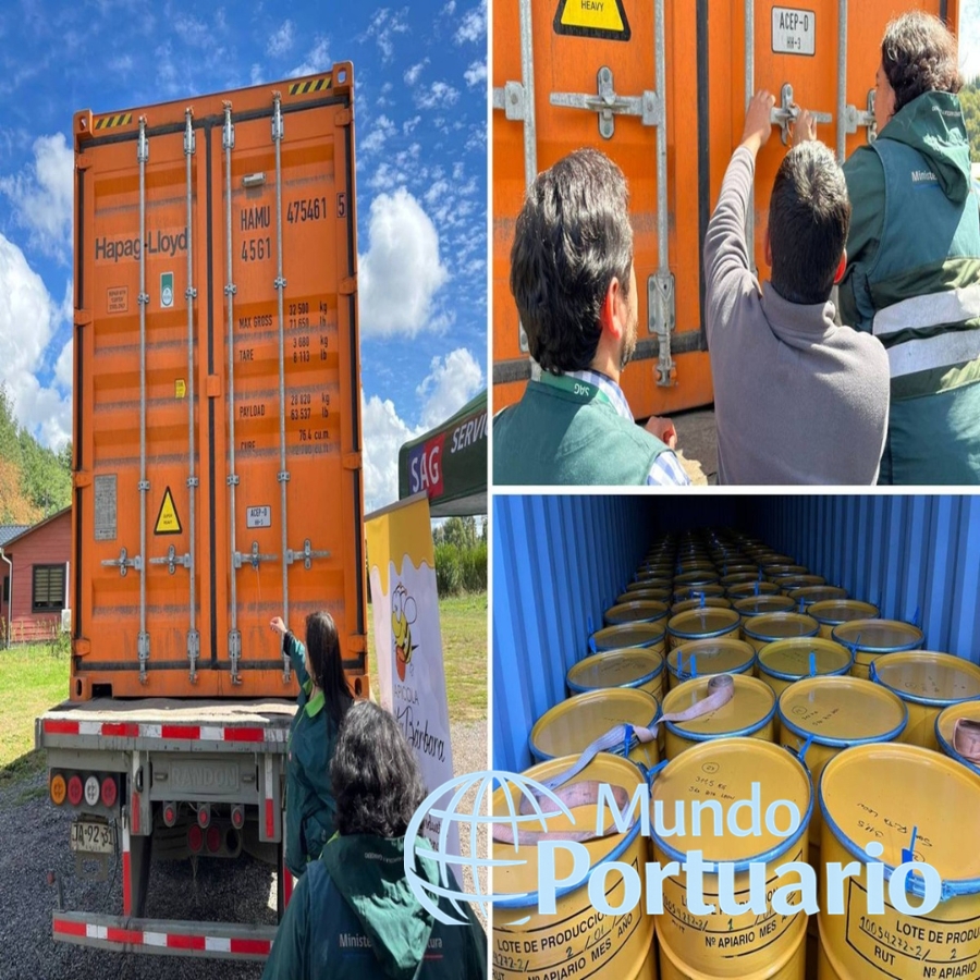Tambores de miel del Biobío listos para exportación a Alemania