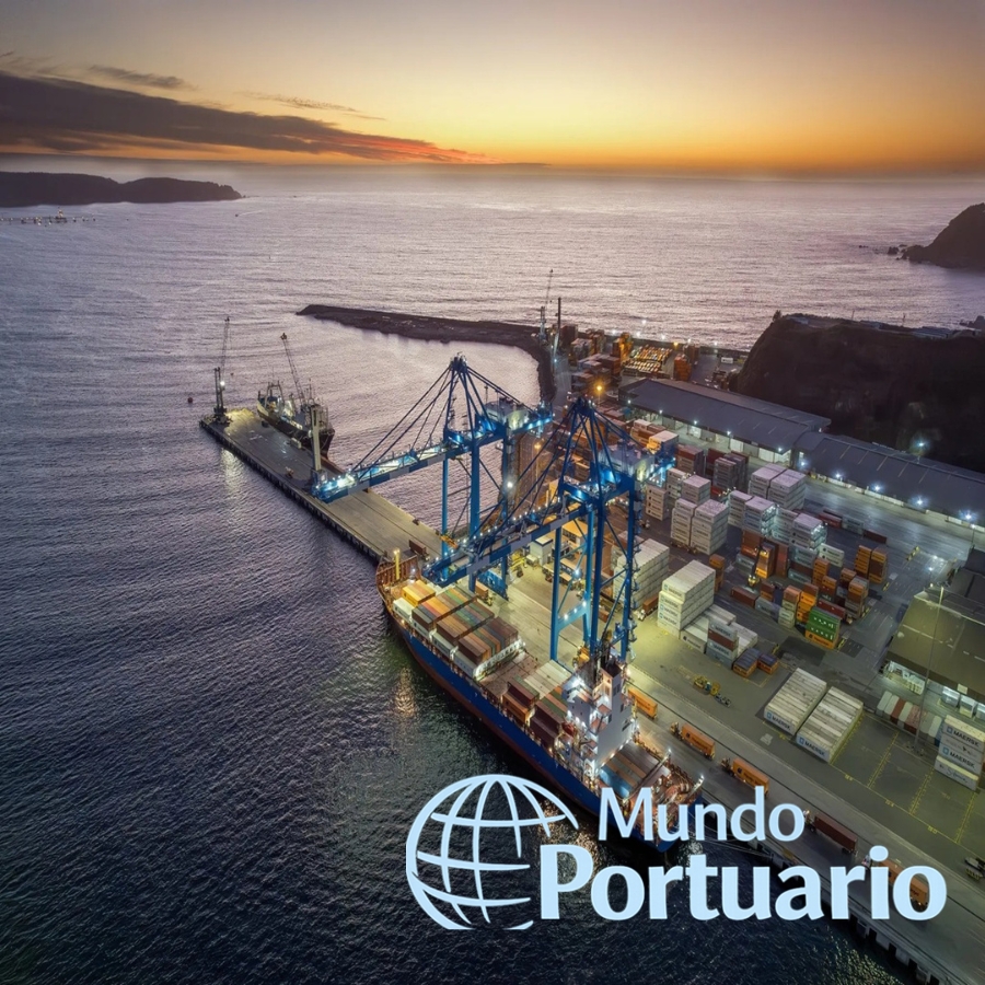 Operación portuaria en Biobío con grúas y carga movilizada en febrero de 2026